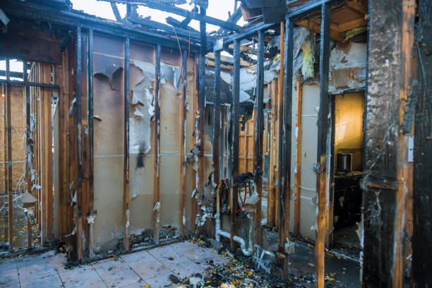 Professional Fire Damage Removal technician working in Collierville, TN